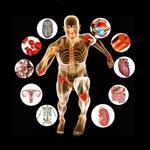 تحقیق-فیزیولوژی-متابولیسم-در-ورزشکاران