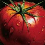 پاورپوینت-خط-تولید-رب-گوجه