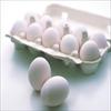 طرح توجیهی بسته بندی و توزيع تخم مرغ