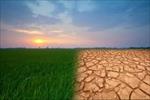 بررسی-خشکسالی-در-ایران-وراهکار-های-مقابله-با-ان