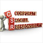 مقاله-رابطه-بین-مسئولیت-اجتماعی-سازمان-و-رضایت-شغلی