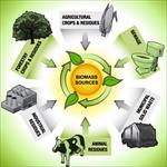 پاورپوینت-انرژی-زیست-توده-(biomass)