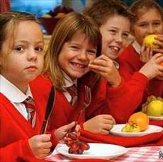 تاثیر تغذیه مناسب در مدرسه و عملکرد دانش آموزان