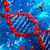 پاورپوینت خالص سازی DNA از سلول‌هاي زنده