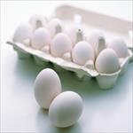 پروژه-کارآفرینی-بسته-بندی-و-توزیع-تخم-مرغ