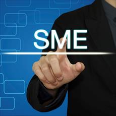 شناسایی عوامل موثر بر بین المللی شدن شرکتهای کوچک و متوسط (SME) در صنعت ICT