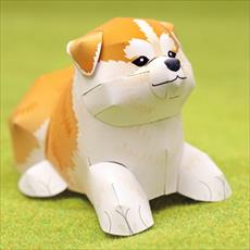 آموزش ساخت ماکت سه بعدی سگ اکیتا (Akita)