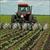 پایان نامه تاثیر توسعه کشاورزی بر پیشرفت صنعتی    