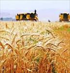 پاورپوینت-گزارش-افزایش-تولید-محصولات-زراعی