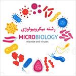 تحقیق-آشنایی-با-رشته-میکروب-شناسی-(-میکروبیولوژی-)