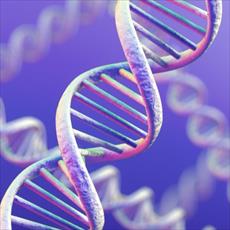 خالص سازی DNA از سلول‌های زنده