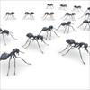 تحقیق الگوریتم کلونی مورچه ها