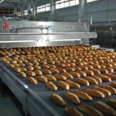 پروژه کارآفرینی تولید نان ماشینی