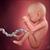 مقاله بررسی روش های تقویت هوش جنین