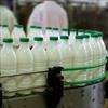 گزارش کارآموزی خط تولید شیر