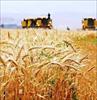 پاورپوینت گزارش افزایش تولید محصولات زراعی